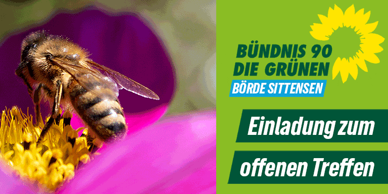 Offenes 🌻 Treffen