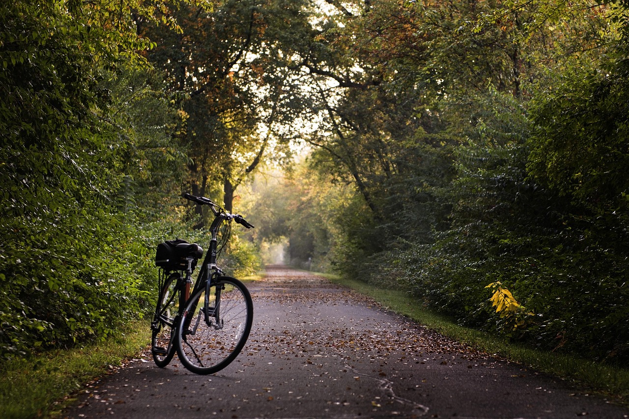bike trail bicycle sport ride 2769021